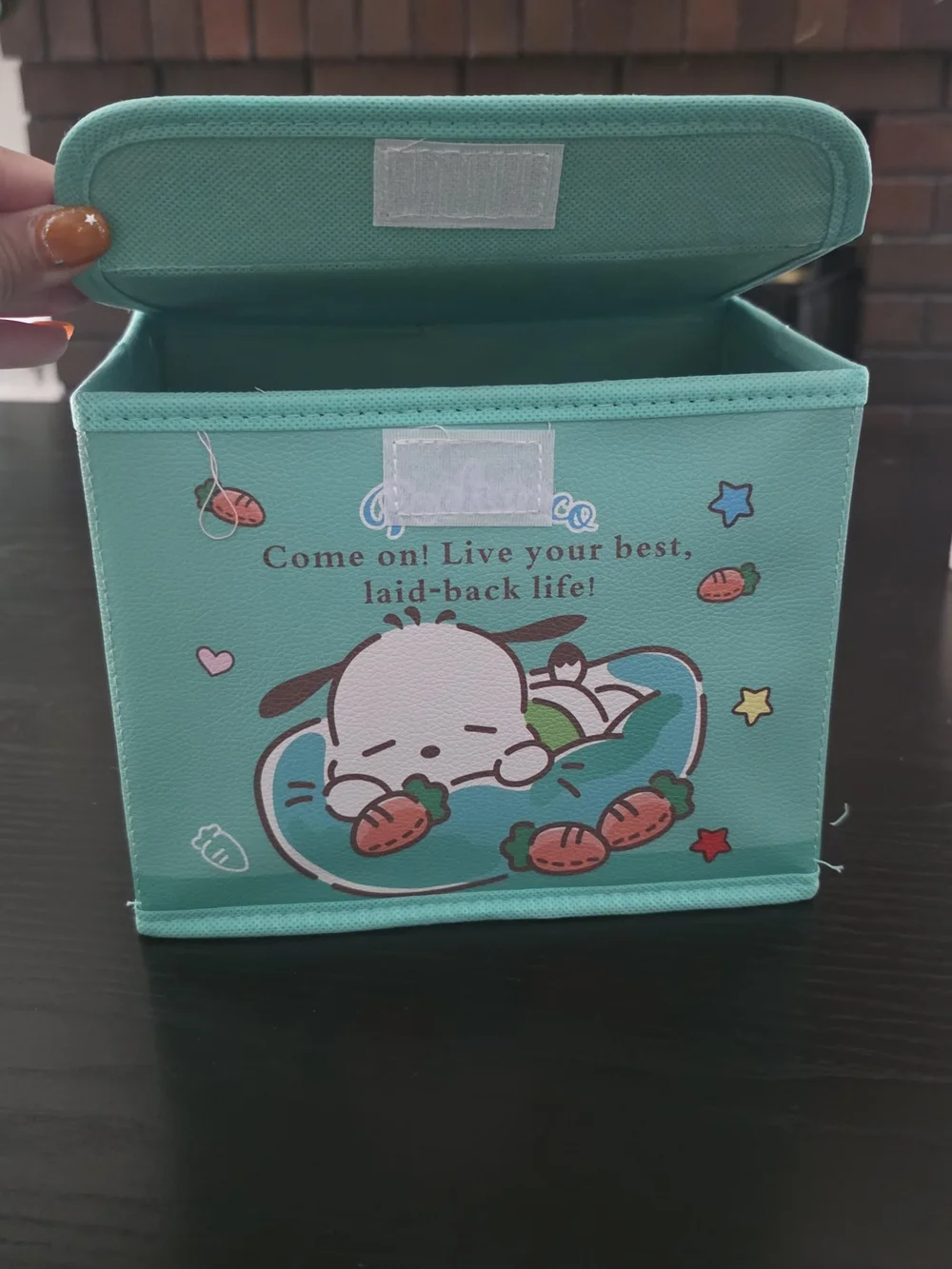 Sanrio Poccacho Storage Container